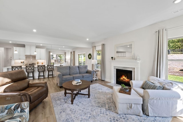 living room featuring light hardwood / wood-style flooring