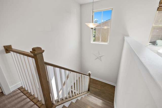 stairs featuring hardwood / wood-style floors