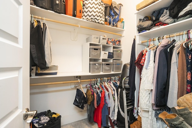 spacious closet featuring carpet flooring