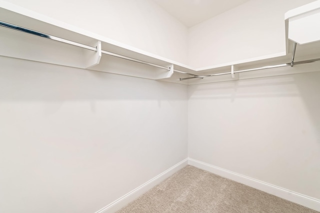 walk in closet with carpet