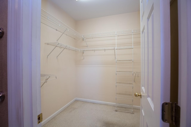 walk in closet with light carpet