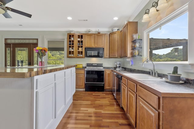 kitchen with crown molding, plenty of natural light, sink, and electric range oven