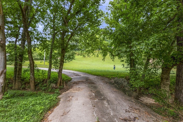 view of community featuring a yard