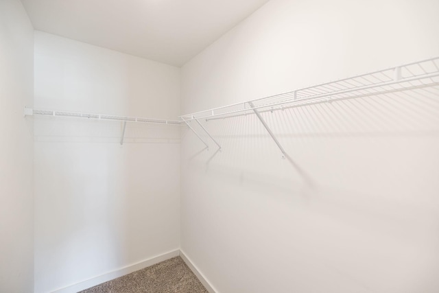 walk in closet with carpet floors