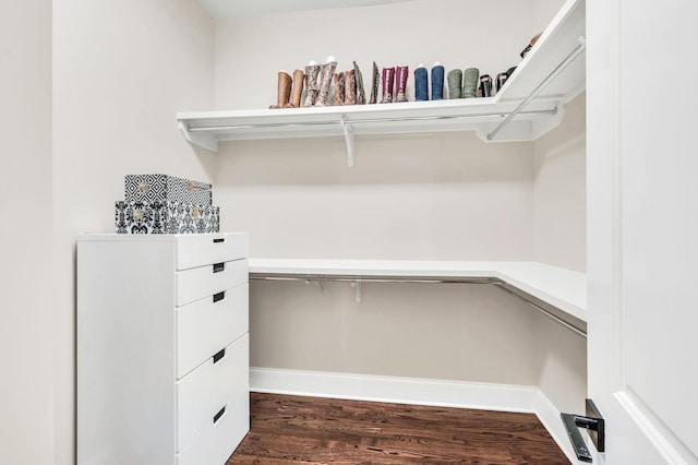 walk in closet with dark hardwood / wood-style floors