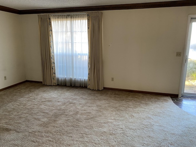 unfurnished room with ornamental molding and carpet floors