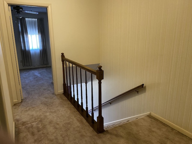 stairway with carpet floors