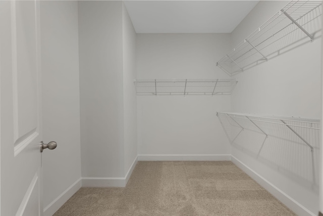 spacious closet with light carpet