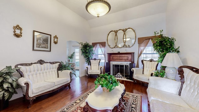 living room featuring vaulted ceiling, plenty of natural light, and dark hardwood / wood-style floors