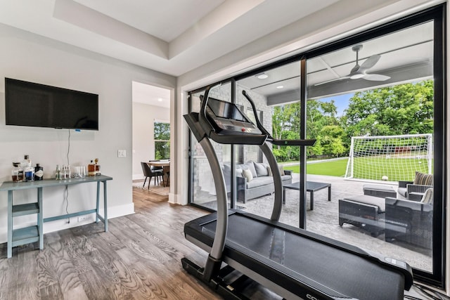 workout room featuring ceiling fan, a healthy amount of sunlight, wood-type flooring, and a tray ceiling