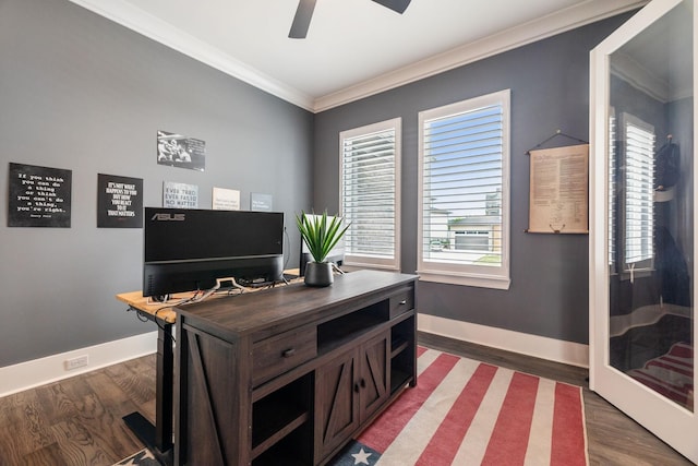 office area featuring ornamental molding, dark hardwood / wood-style floors, and ceiling fan