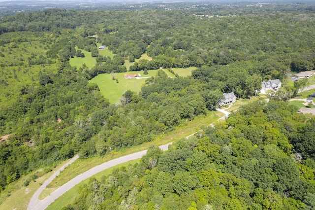 1468 Heller Rdg, Spring Hill TN, 37174 land for sale