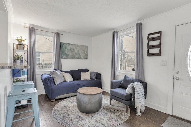 living room featuring crown molding, dark hardwood / wood-style floors, and a textured ceiling