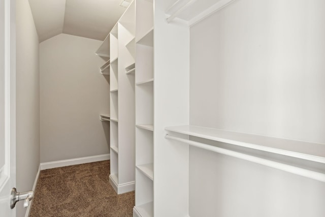 walk in closet featuring vaulted ceiling and dark colored carpet