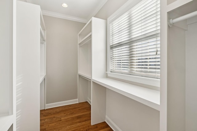 walk in closet with dark hardwood / wood-style floors