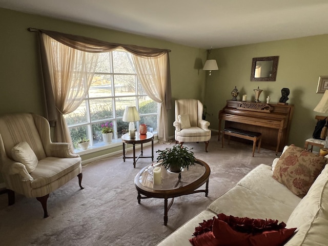 living area with carpet floors