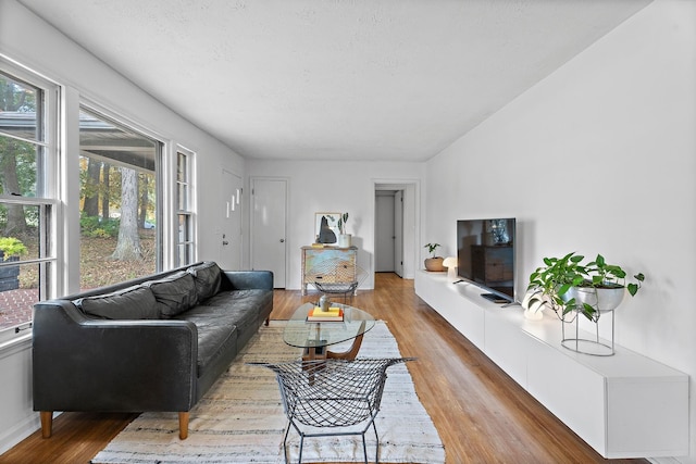 living room with hardwood / wood-style floors