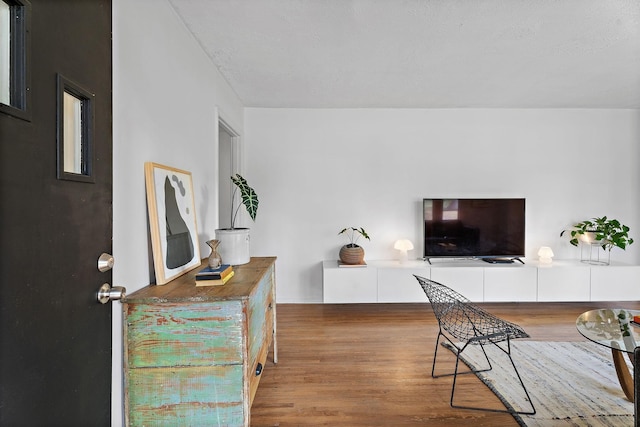 living room with hardwood / wood-style floors