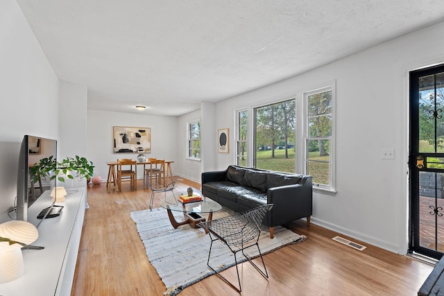 living room with light hardwood / wood-style flooring and a textured ceiling