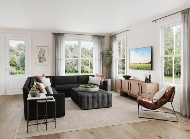 living room featuring light hardwood / wood-style flooring and a healthy amount of sunlight