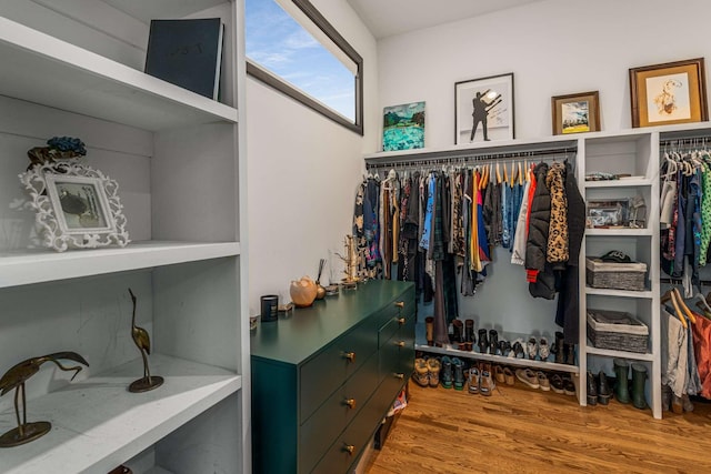 walk in closet featuring wood-type flooring