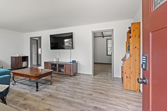 living room with light hardwood / wood-style floors