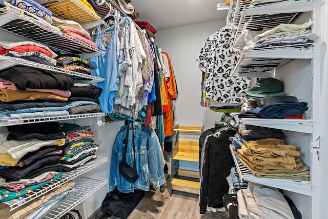 walk in closet featuring light hardwood / wood-style floors