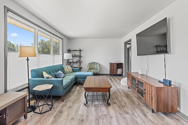 living room featuring light wood-type flooring