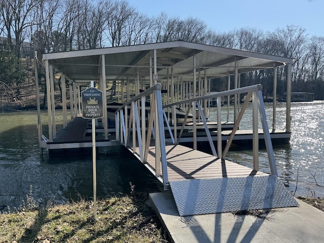 dock area with a water view