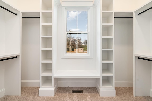 walk in closet featuring a barn door and light carpet