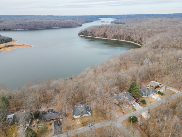 birds eye view of property featuring a water view and a view of trees