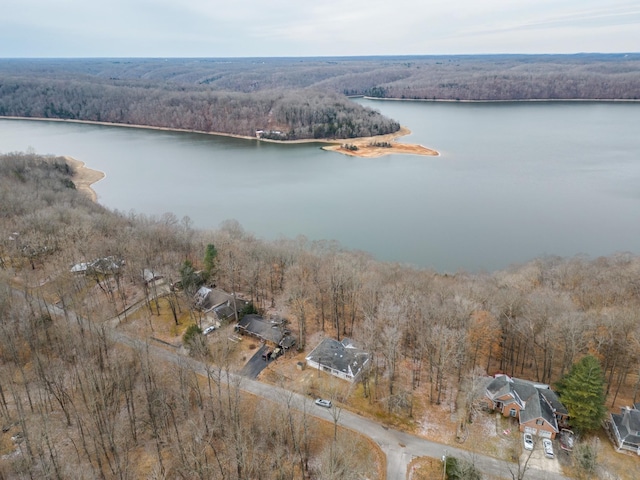 birds eye view of property featuring a forest view and a water view