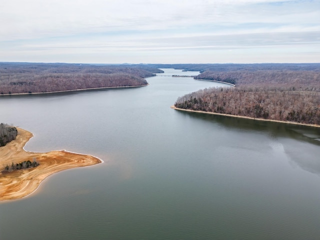 drone / aerial view featuring a view of trees and a water view