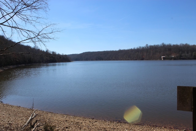 water view with a forest view