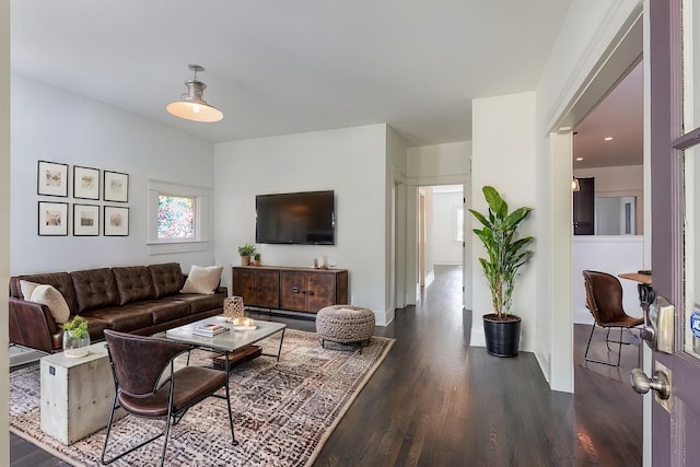 living room with dark wood-type flooring