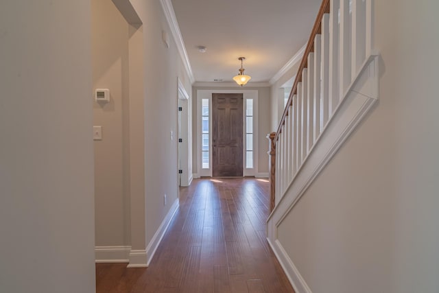 entryway featuring ornamental molding and dark wood-type flooring