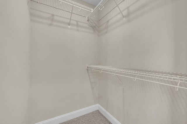 walk in closet with carpet flooring