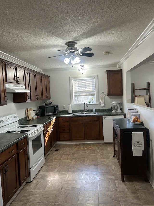 kitchen with dark brown cabinetry, crown molding, sink, and white appliances