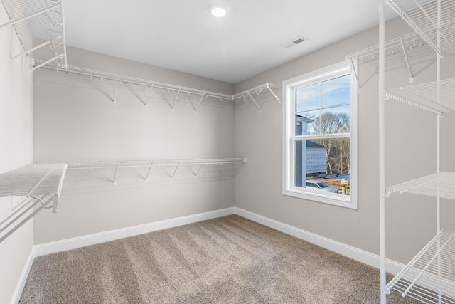 walk in closet with carpet flooring