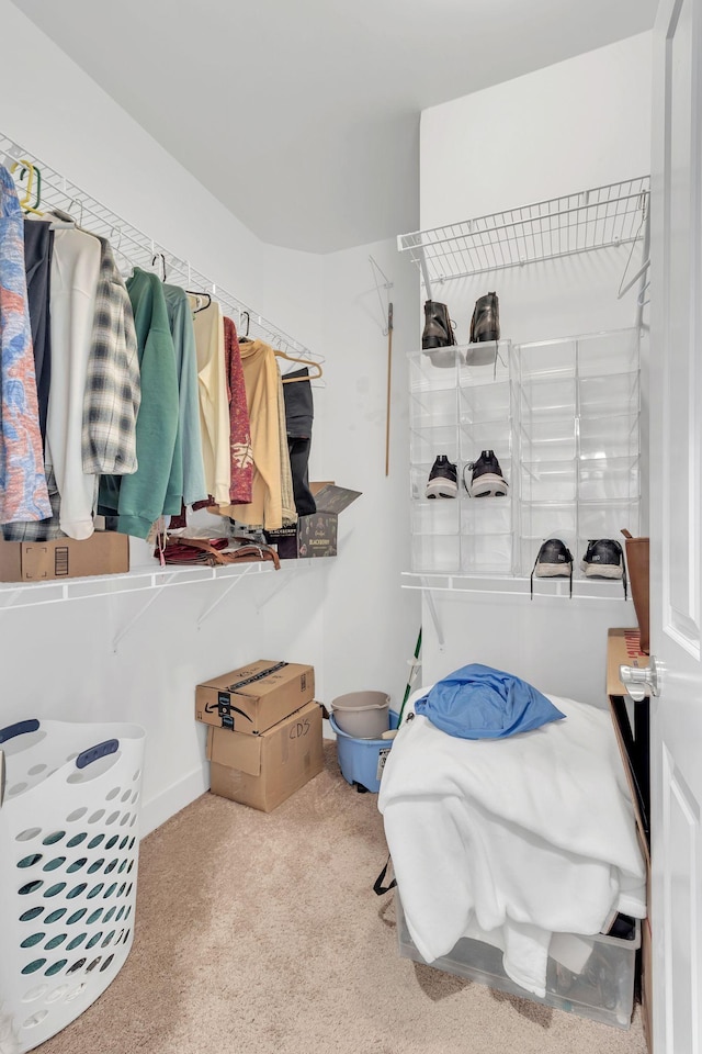 walk in closet with light colored carpet