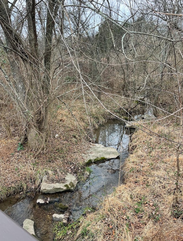 view of local wilderness