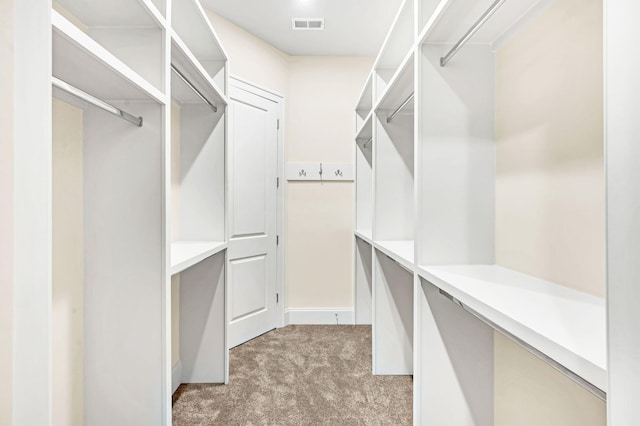 spacious closet with carpet