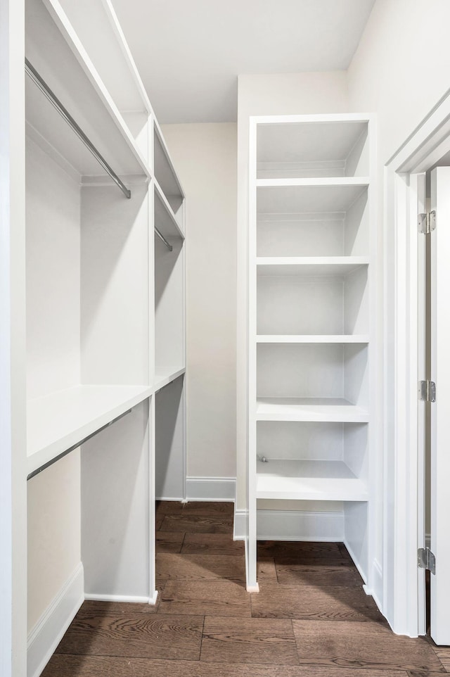 spacious closet featuring dark hardwood / wood-style floors