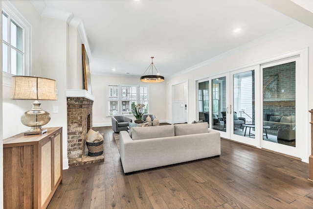 living room featuring a notable chandelier, a fireplace, ornamental molding, and dark hardwood / wood-style floors