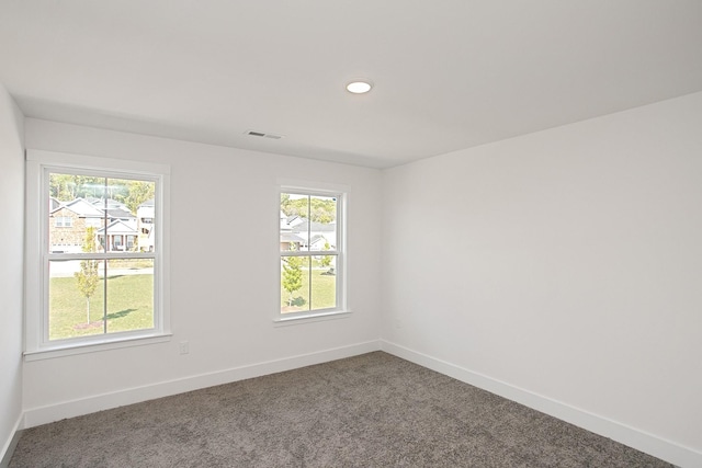 carpeted spare room with plenty of natural light