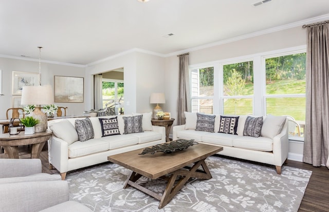 living room with hardwood / wood-style floors, crown molding, and a wealth of natural light