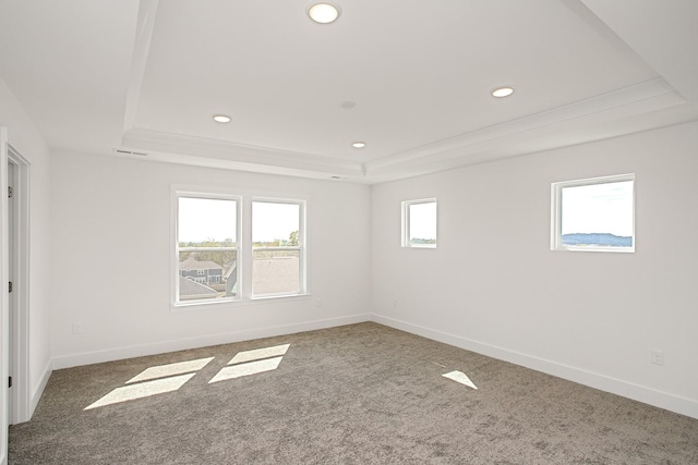 empty room with carpet floors and a raised ceiling