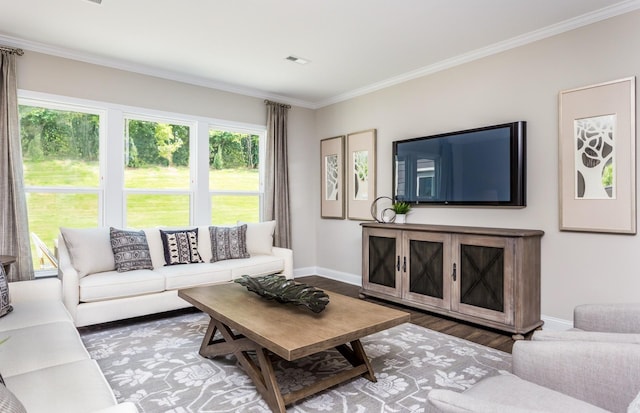 living room with wood-type flooring and crown molding