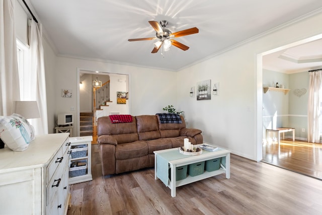 living room with crown molding, ceiling fan, and light wood-type flooring