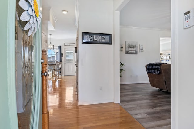 corridor featuring hardwood / wood-style flooring and ornamental molding